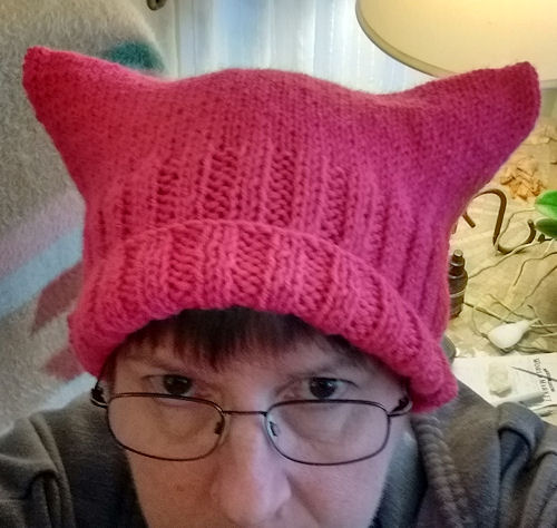 Pussy Hat